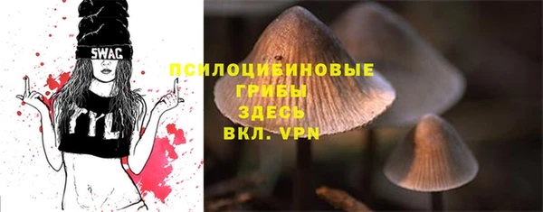 меф Нягань
