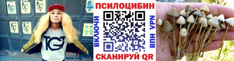 где купить наркоту  Красный Сулин  Галлюциногенные грибы Cubensis 