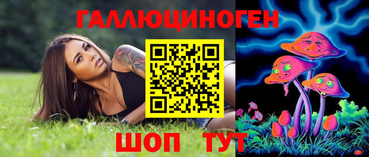 Красный Сулин  Псилоцибиновые грибы MAGIC MUSHROOMS  Вход с VPN 