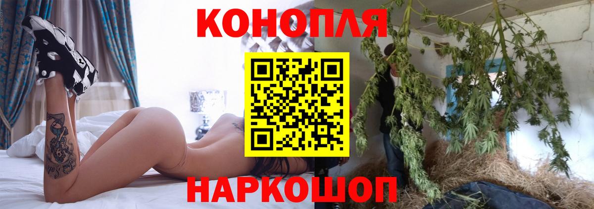 Бошки марихуана сатива Красный Сулин